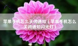 苹果手机怎么关闭通知（苹果手机怎么关闭通知闪光灯）