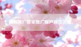 搜狗推广管家推广账户操作流程。