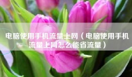 电脑使用手机流量上网（电脑使用手机流量上网怎么能省流量）