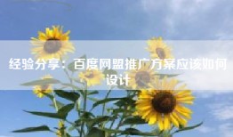 经验分享：百度网盟推广方案应该如何设计