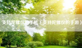 支持陀螺仪的手机（支持陀螺仪的手游）
