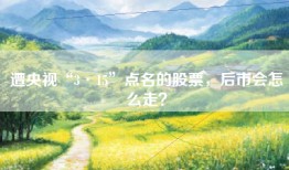 遭央视“3·15”点名的股票，后市会怎么走？