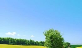 圣诞节吃苹果的由来 圣诞节吃苹果的含义是什么