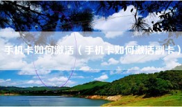 手机卡如何激活（手机卡如何激活副卡）