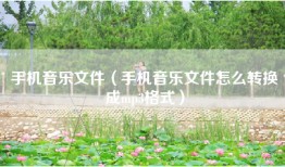 手机音乐文件（手机音乐文件怎么转换成mp3格式）