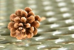 比歼-20还快3秒！短距起飞苏-57用时更短，俄罗斯还是有看家本领