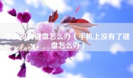 手机没有键盘怎么办（手机上没有了键盘怎么办）