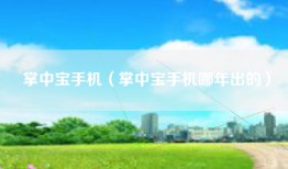 掌中宝手机（掌中宝手机哪年出的）