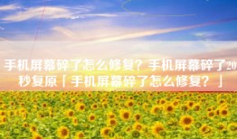 手机屏幕碎了怎么修复？手机屏幕碎了20秒复原「手机屏幕碎了怎么修复？」