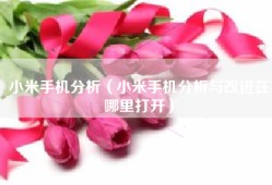 小米手机分析（小米手机分析与改进在哪里打开）