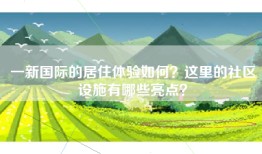 一新国际的居住体验如何？这里的社区设施有哪些亮点？