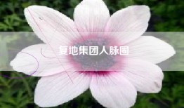 复地集团人脉圈