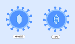 接种HPV疫苗，你是否还在担心安全性和有效性......