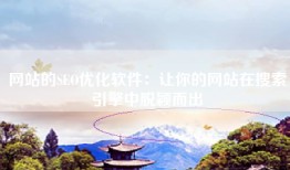 网站的SEO优化软件：让你的网站在搜索引擎中脱颖而出