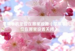 苹果手机定位在哪里设置（苹果手机定位在哪里设置关闭）