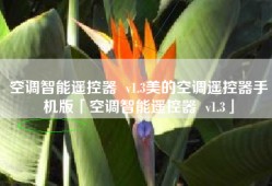 空调智能遥控器  v1.3美的空调遥控器手机版「空调智能遥控器  v1.3」