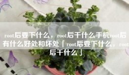 root后要下什么，root后干什么手机root后有什么好处和坏处「root后要下什么，root后干什么」