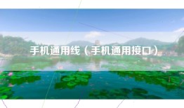 手机通用线（手机通用接口）