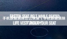 手机数据清除怎么恢复（手机数据清除了怎么办）