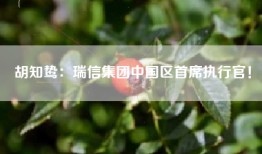 胡知鸷：瑞信集团中国区首席执行官！