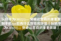 玩转华为C8812[1]--- 突破运营商的重重限制手机root后有什么好处和坏处「玩转华为C8812[1]--- 突破运营商的重重限制」