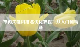 市内关键词排名优化教程，从入门到精通