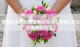 苹果手机怎么批量删除短信（苹果15怎么批量删除短信）