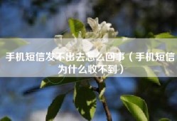 手机短信发不出去怎么回事（手机短信为什么收不到）