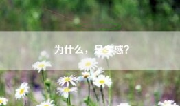为什么，是孝感？