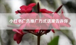 小红书广告推广方式这里告诉你