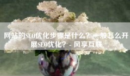 网站的SEO优化步骤是什么？一般怎么开展SEO优化？- 风享互联
