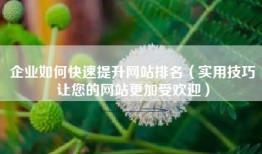 企业如何快速提升网站排名（实用技巧让您的网站更加受欢迎）