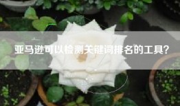 亚马逊可以检测关键词排名的工具？