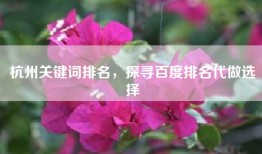 杭州关键词排名，探寻百度排名代做选择