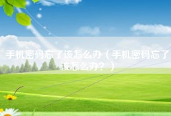 手机密码忘了该怎么办（手机密码忘了该怎么办？）