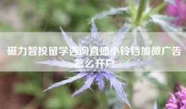 磁力智投留学咨询直播小铃铛加微广告怎么开户