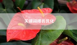 关键词排名优化