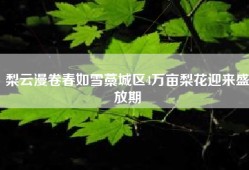 梨云漫卷春如雪藁城区4万亩梨花迎来盛放期