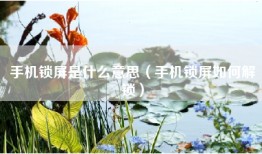 手机锁屏是什么意思（手机锁屏如何解锁）