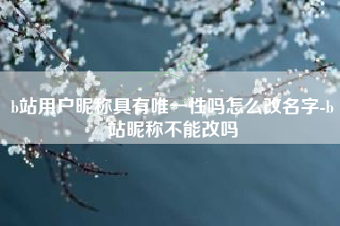 b站用户昵称具有唯一性吗怎么改名字-b站昵称不能改吗