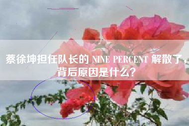 蔡徐坤担任队长的 NINE PERCENT 解散了,背后原因是什么? 蔡徐坤担任队长的 NINE PERCENT 解散了,背后原因是什么?