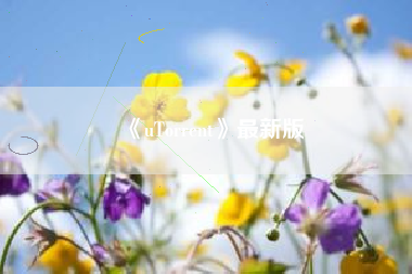 《uTorrent》最新版