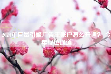 2024年巨量引擎广告主账户怎么开通？ 今年绿色通道