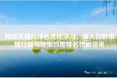 网络关键词排名优化学习，深入剖析市场行情与搜集百度排名代做资讯
