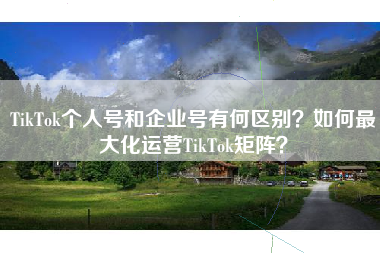 TikTok个人号和企业号有何区别？如何最大化运营TikTok矩阵？