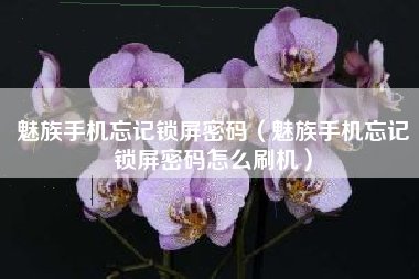 魅族手机忘记锁屏密码（魅族手机忘记锁屏密码怎么刷机）
