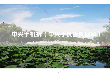 中兴手机拆（中兴手机拆机图解）