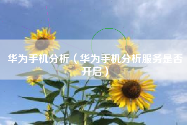 华为手机分析（华为手机分析服务是否开启）