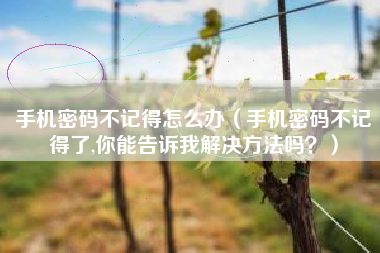 手机密码不记得怎么办（手机密码不记得了,你能告诉我解决方法吗？）