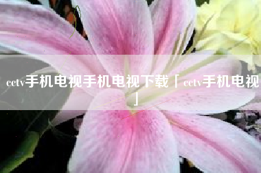 cctv手机电视手机电视下载「cctv手机电视」